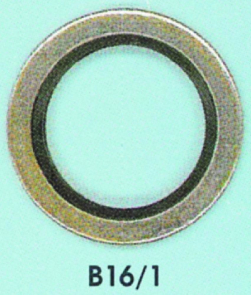 Carterdichting bs 16.7x24x1,5