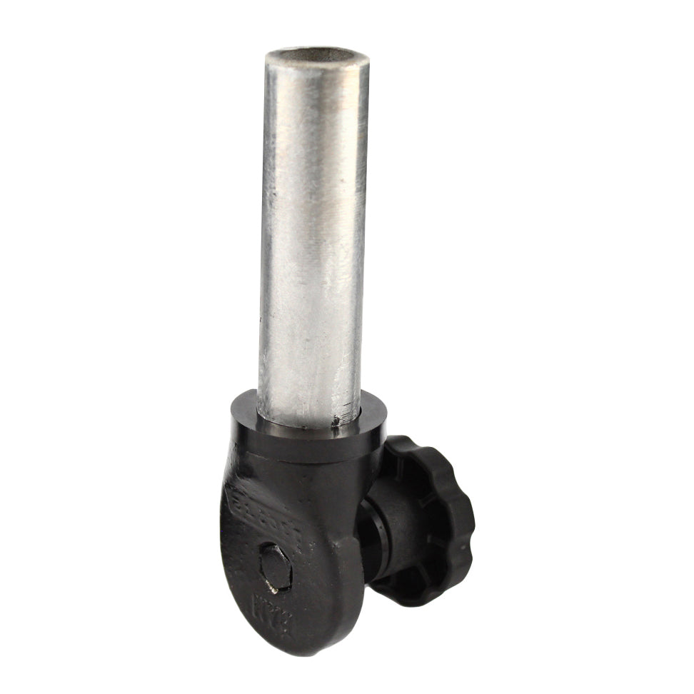 RAM® 1" NPT-paal en rateladapter met vrouwelijke vertanding